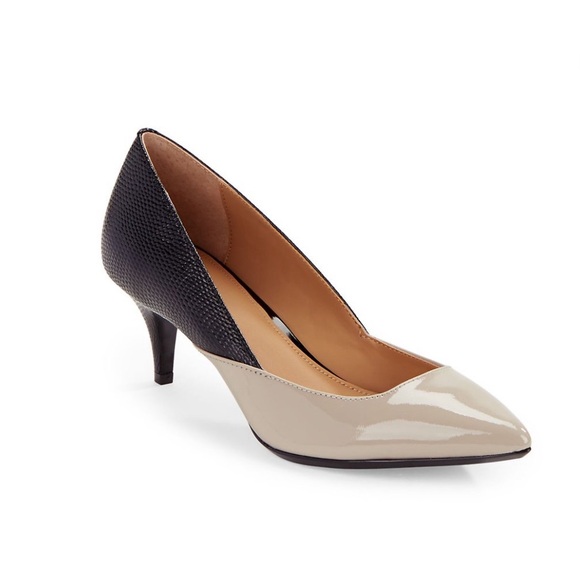 Calvin Klein Shoes - Calvin Klein Women's Patna Pointed Toe Classic Pumps Grege Black